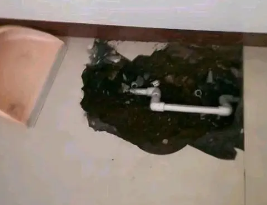 聊城卫生间测漏水多少钱